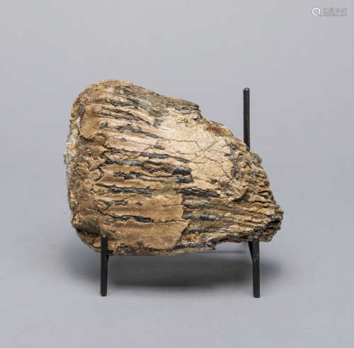 Large Fossilized Wooly Mammoth Tooth Table Sculpture