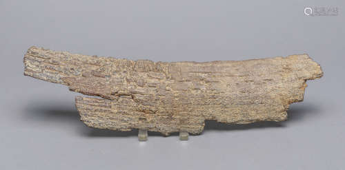 Large Art Table Sculpture of Mammoth Tooth  Bark Fossil