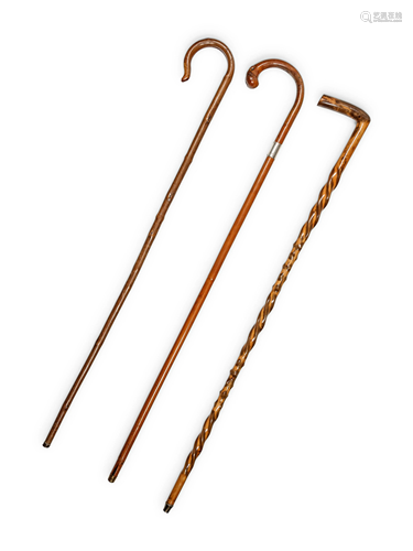 A Group of Three Walking Sticks