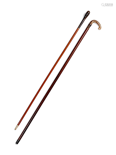 Two Horn Mounted Walking Sticks