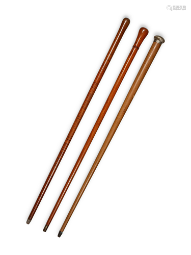 A Group of Three Walking Sticks