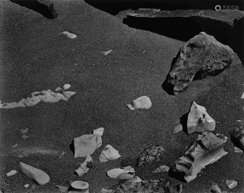 Edward Weston (American, 1886-1958)) Point Lobos, 1948