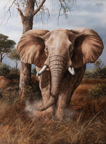 Trevor Swanson (American, b. 1968) Elephant