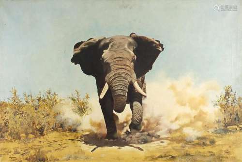 Brun - Charging bull elephant, signed oil on canvas, C Rober...
