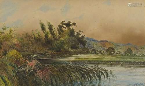 S E Hall - Wind in the reeds, River Wharfe near Bolton Abbey...