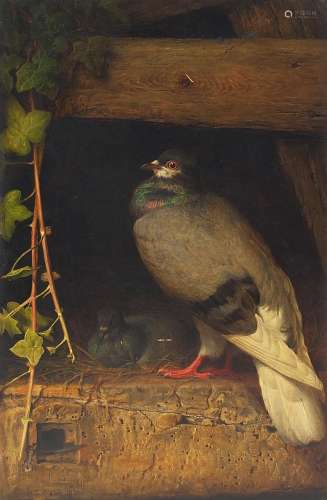 William James Webb 1869 - Two pigeons, 19th century oil on p...