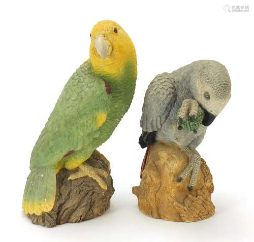 Animal Classics, two parrots, the largest 28cm high