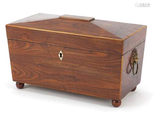 Victorian rosewood sarcophagus shaped tea caddy with lion ma...
