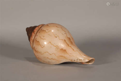Porcelain Seashell Qianlong Style