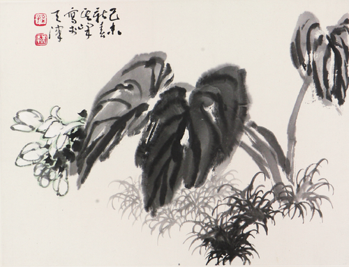 孙其峰(b.1920)玉簪花 设色 纸本镜片