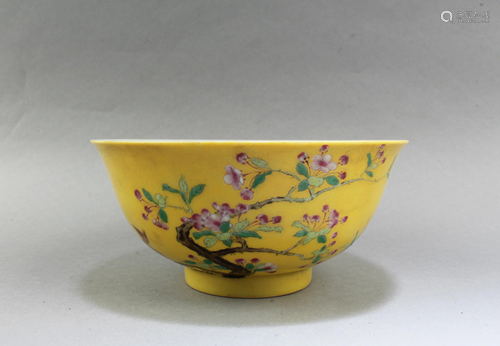 Chinese Famille Jaune Porcelain Bowl