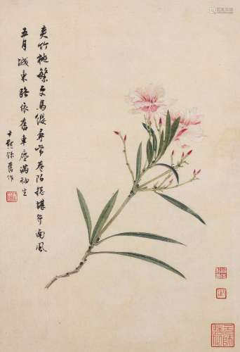 晏济元（1883～1971）沈尹默（1883～1971） 夹竹桃图 镜框 设色纸本
