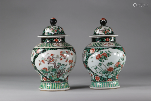 Pair of covered famille verte vases with vegetal