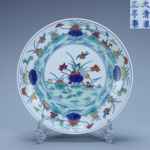 Doucai Mandarin-duck and Lotus Plate Yongzheng