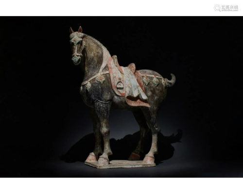 HUGE CHINESE TANG DYNASTY TERRACOTTA HORSE - TL T…
