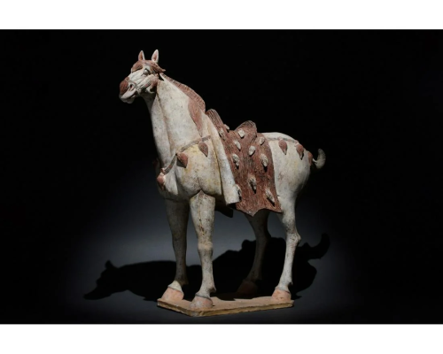 HUGE CHINESE TANG DYNASTY TERRACOTTA HORSE - TL T…