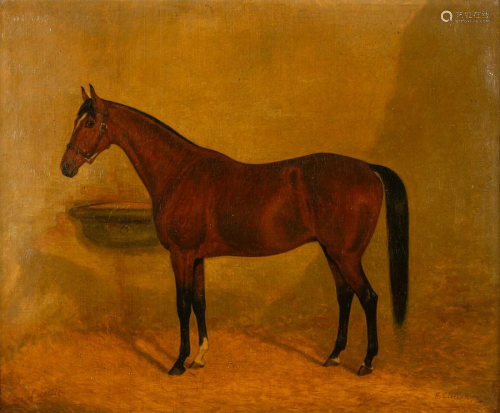 F. C. Clifton (19th cenntury) Horse, Lucille
