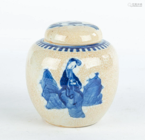 Chinese Porcelain Hand Painted Ginger Jar