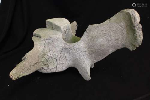 AN UNUSUAL VERTEBRA, impressively sized, possibly from a wha...