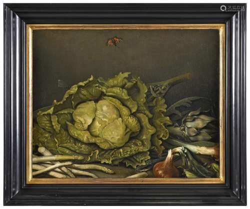 JAKOB SAMUEL BECK (1715-1778) STILL LIFE OF A CABBAGE, WITH ...