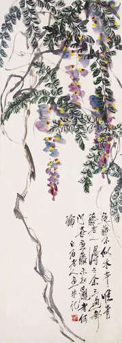 QI BAISHI WISTERIA