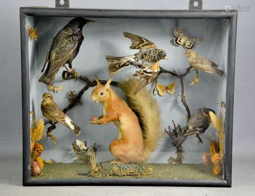 A Taxidermy group of animals including squirrel and birds, i...