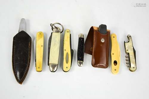 A group of 19th century and later fruit knives and pen knive...