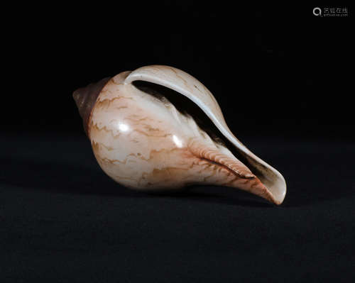 Bionic Porcelain Conch