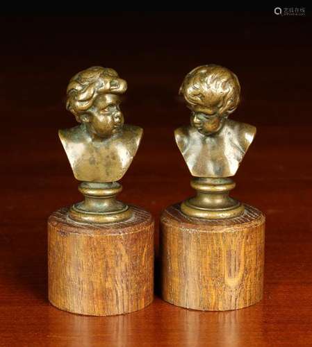 A Pair of Small Bronze Cherubic Busts stamped F.