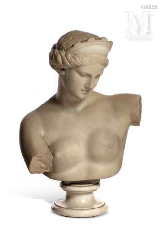 busteVénus de CapoueSculpture en marbre blanc figurant la dé...