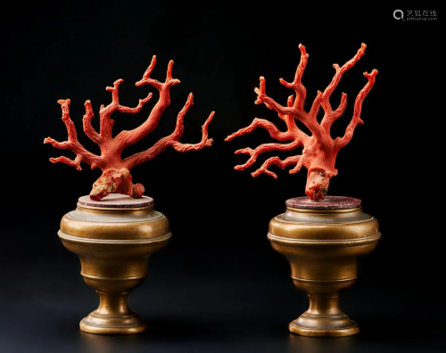 Naturalia A pair of red coral branches on antique