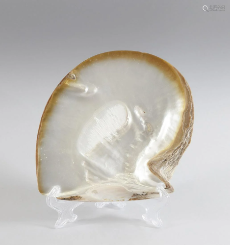 Naturalia A shell France, 19th century.