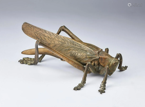 Wunderkammer A large cast bronze locust shaped