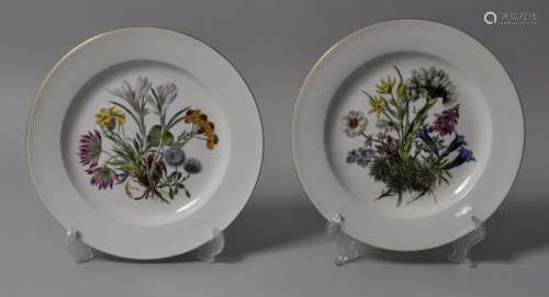 Teller, Meissen / two plates