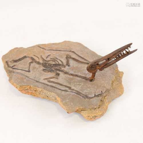 Chris Watson, Pterosaur, mixed media composition/stone, leng...