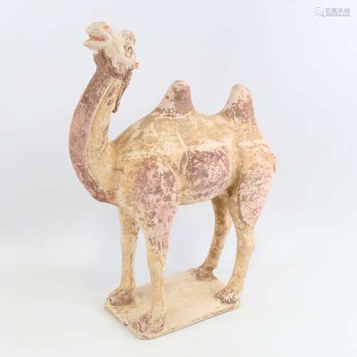 A Chinese Tang Dynasty pottery Bactrian camel (618-906AD), t...