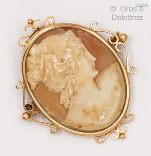 一枚黄金胸针，上面有一个贝壳浮雕，代表一个卷轴式的女人的轮廓。尺...
