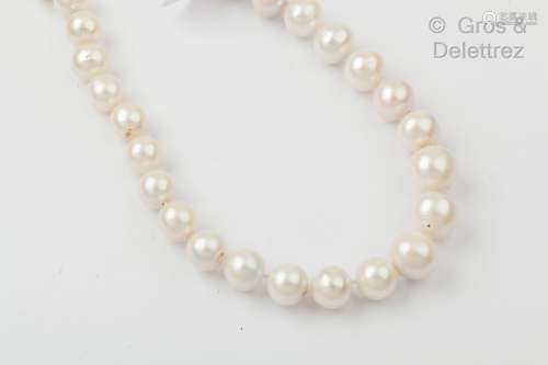 秋天的养殖珍珠项链，银色的扣子钩。珍珠的直径：11.6至15.4毫米。长...