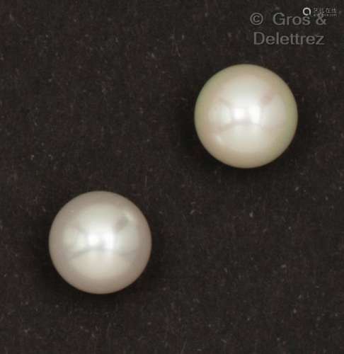 一对白金耳环，每只都有一颗养殖珍珠。珍珠的直径：9.2毫米。毛重：3....