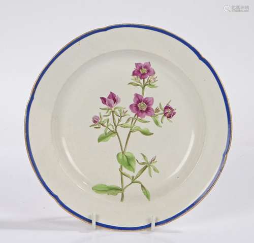 18th Century creamware hand-painted botanical plate, circa 1...