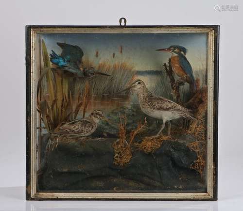 H G Hudson of Ipswich taxidermy display, with two kingfisher...