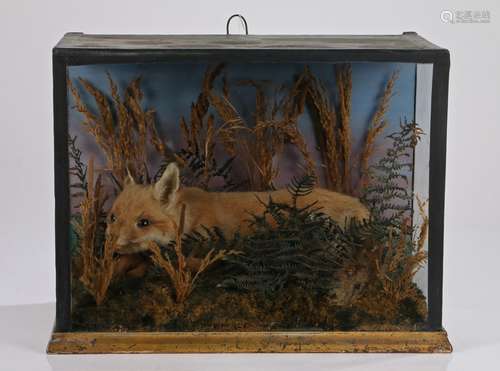 Victorian taxidermy fox pup, the glazed case with a fox amon...