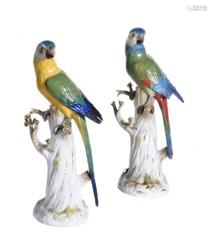 Two similar Meissen models of parrots