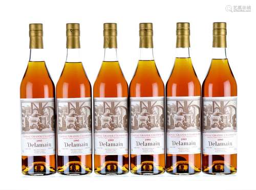 1995 Delamain Grande Champagne Cognac