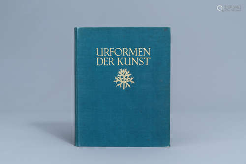 Karl Blossfeldt: 'Urformen der Kunst. Photographische Pflanz...