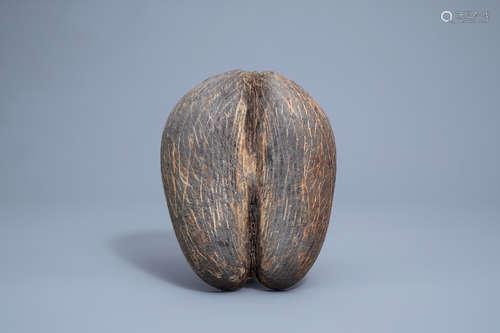 A sea coconut or coco de mer (lodicea maldivica), Seychelles