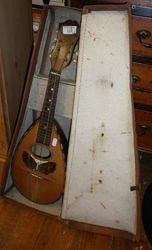 Mandolin in case