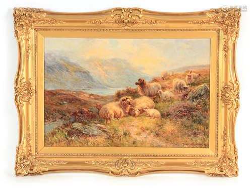 ERNEST WALBOURN 1872-1927 OIL ON CANVAS Highland sheep resti...