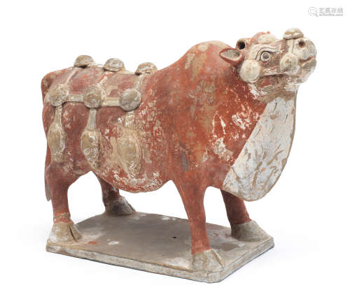 A PAINTED POTTERY MODEL OF AN OX Tang Dynasty