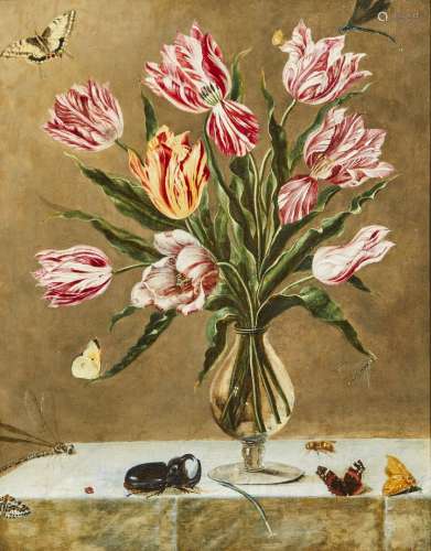 500- 17世纪荷兰学校花瓶里的郁金香花束，放在一个夹板上，上面有蝴...